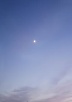 前世？マイトくんの師匠だけど？(変な所で終わっています)