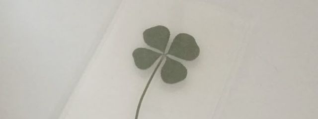 　　　　하윤さんの壁紙画像