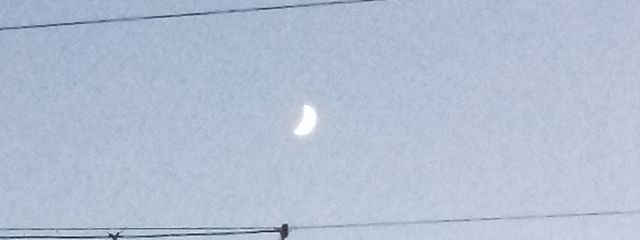   美澄 咲夜@ﾌｫﾛﾊﾞ¹ºº@てーふさんの壁紙画像