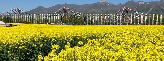 翔さんの壁紙画像