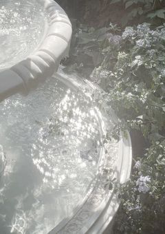 -The Representatives-