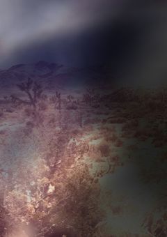 終末世界で何思ふ【参加型】