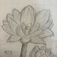 すみすみさんのアイコン画像