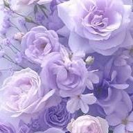 深澤あおい＠更新停止中さんのアイコン画像