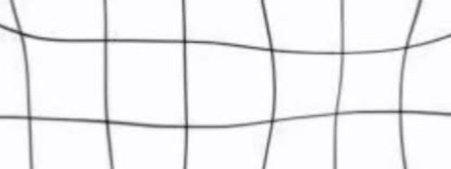 유리yuri_ もねとペア画中さんの壁紙画像