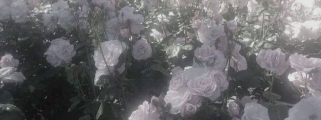 유리yuri_ 活動休止中さんの壁紙画像