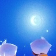 むぅさんのアイコン画像