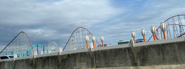 たぬきさんの壁紙画像