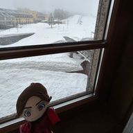 たぬきさんのアイコン画像