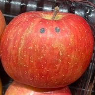 soraさんのアイコン画像