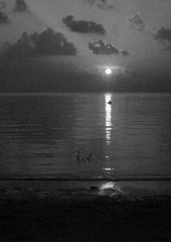 　♡ │ 運命だって