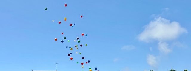 モルモさんの壁紙画像