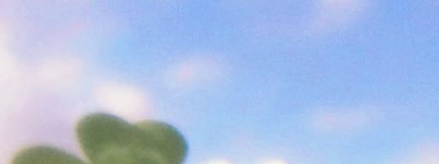 朝霞さんの壁紙画像
