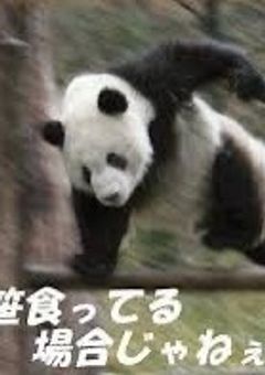 ただのヲタクが話す場