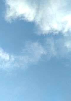 名無しさん専用部屋