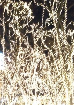 友達募集中 (1話?だけ)