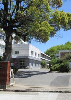 うちの先生たちは癖が強い