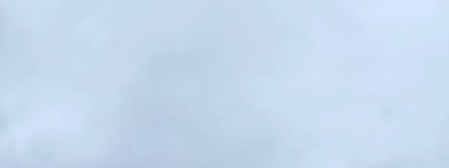 　雛　@フォロバ率97%さんの壁紙画像