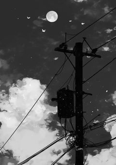 月の夜に愛ましょう .