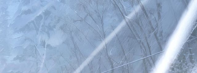 Laylaさんの壁紙画像