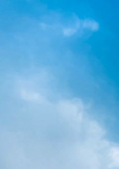 シェアハウスの天使