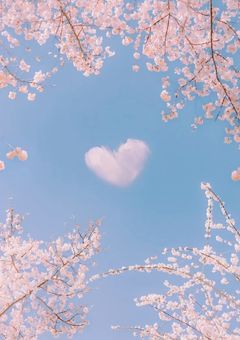 ♡ 𝐖𝐡𝐢𝐭𝐞𝐩𝐢𝐧𝐤 ❀•̩̩͙。配 信 部 屋 ♡