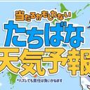 そらぴ。@ししょ~と付き合いたい