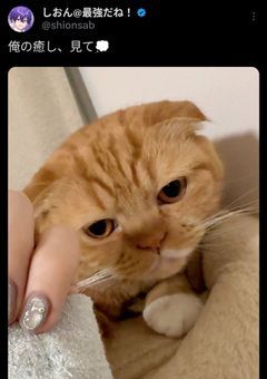 人生で焦ったこと載せる