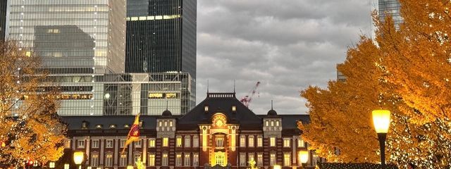 まめまるさんの壁紙画像