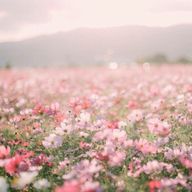 まめまるさんのアイコン画像