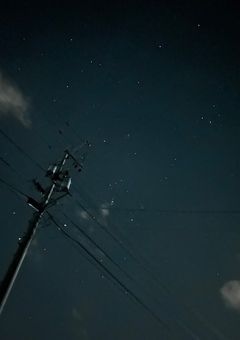 だいすきだったよ