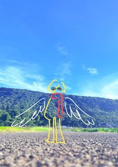 雲の上はいつも晴れ、優雅に羽ばたく鳥の影