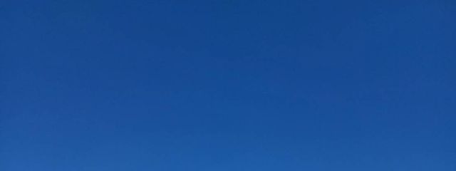 はなさんの壁紙画像