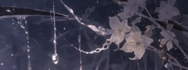 月咲氷華さんの壁紙画像