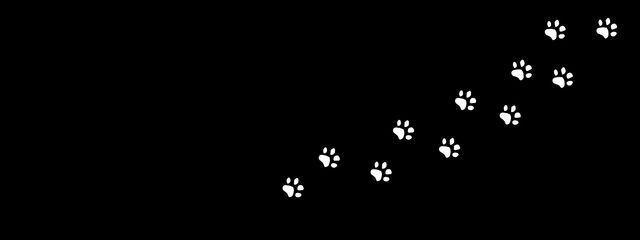 狐拍梨杏 .  さんの壁紙画像