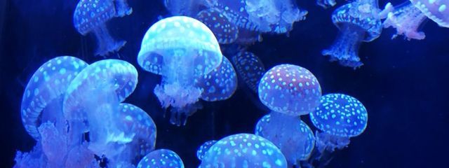 凪沙さんの壁紙画像