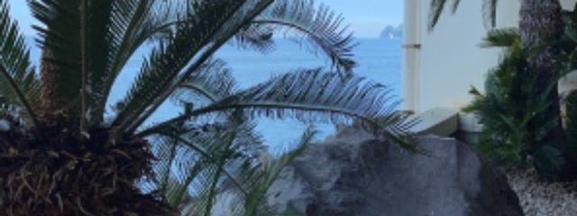 Sino @筆圧強過ぎてシャー芯折れまくってる人さんの壁紙画像