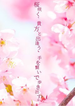 桜咲く、貴方と出逢う、手を繋いで歩き出す。