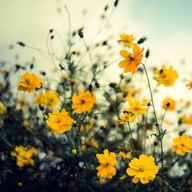 prrrrtさんのアイコン画像