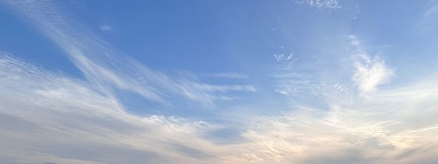 リンさんの壁紙画像