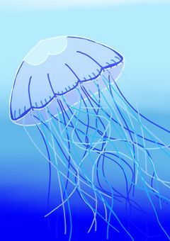 クラゲって最後まで綺麗なまま亡くなる