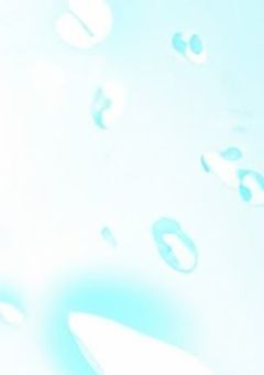 青春部