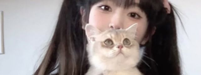 あんず.ᯓさんの壁紙画像