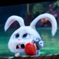 りさんのアイコン画像