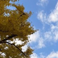 🦙さんのアイコン画像