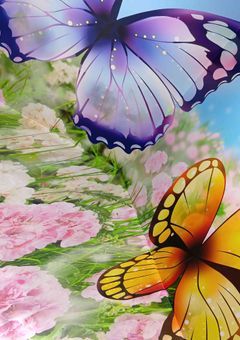 【　弟の将来が心配です　】