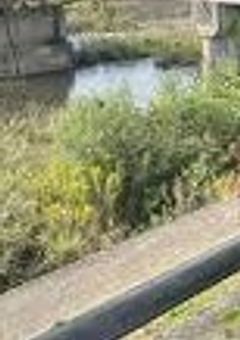 彼氏役を頼んだだけ.