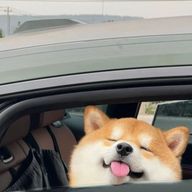 ルンさんのアイコン画像