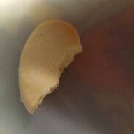 常霖哀守@死ｦ求ﾑさんのアイコン画像