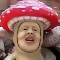 🦐❤︎🍅さんのアイコン画像